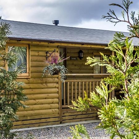 Laurel Lodge - 2 Bedroom Log Cabin - St Florence Saint Florence Kültér fotó