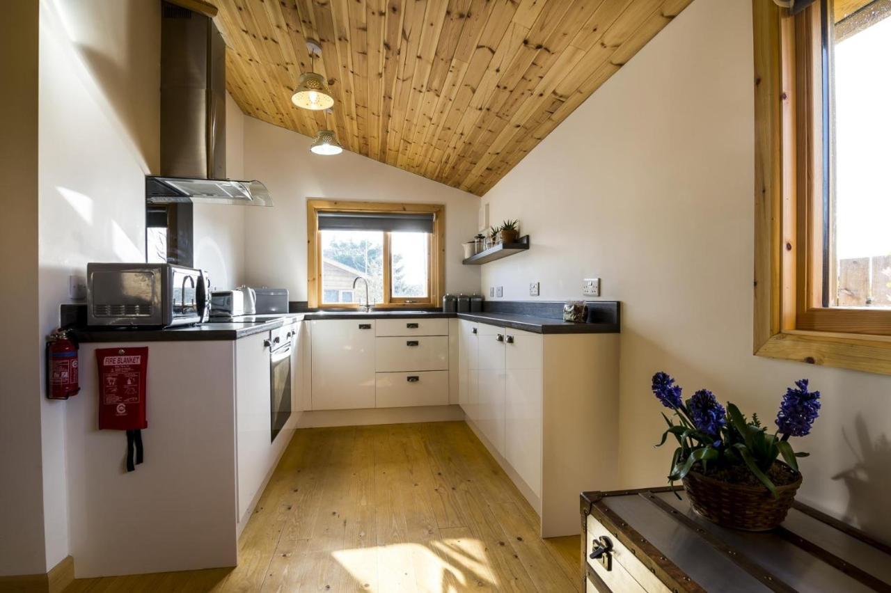 Laurel Lodge - 2 Bedroom Log Cabin - St Florence Saint Florence Kültér fotó