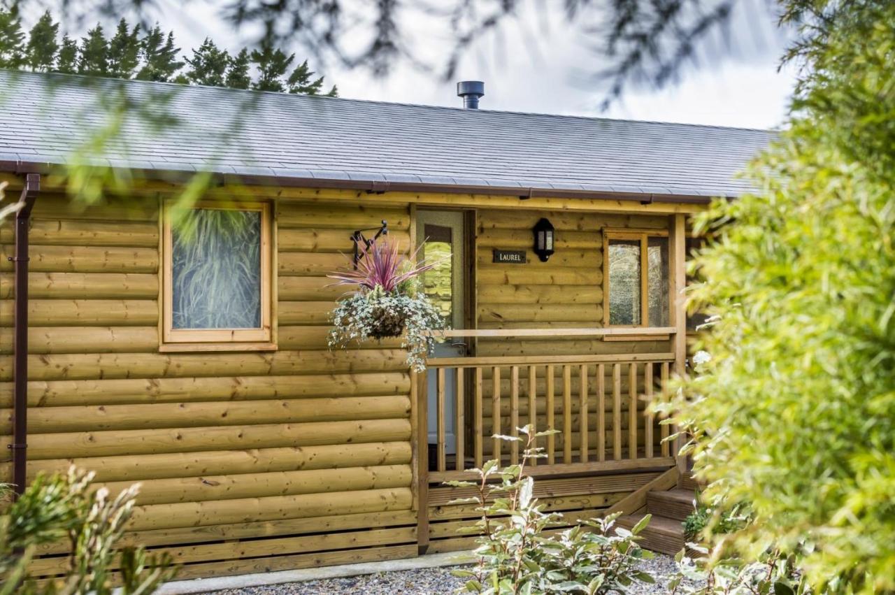 Laurel Lodge - 2 Bedroom Log Cabin - St Florence Saint Florence Kültér fotó